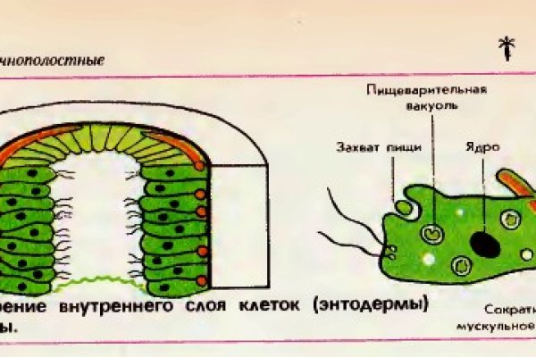 Ссылки кракен 2024