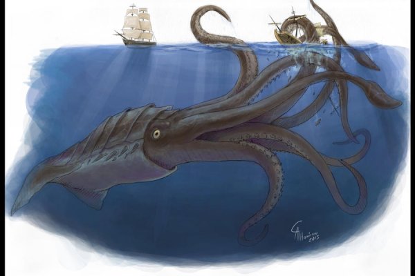 Kraken даркнет что это