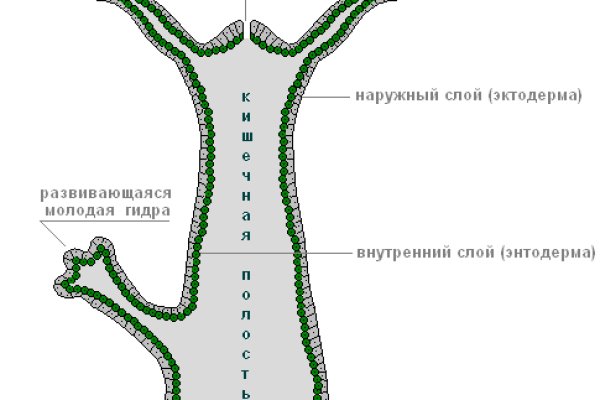 Кракен новая гидра